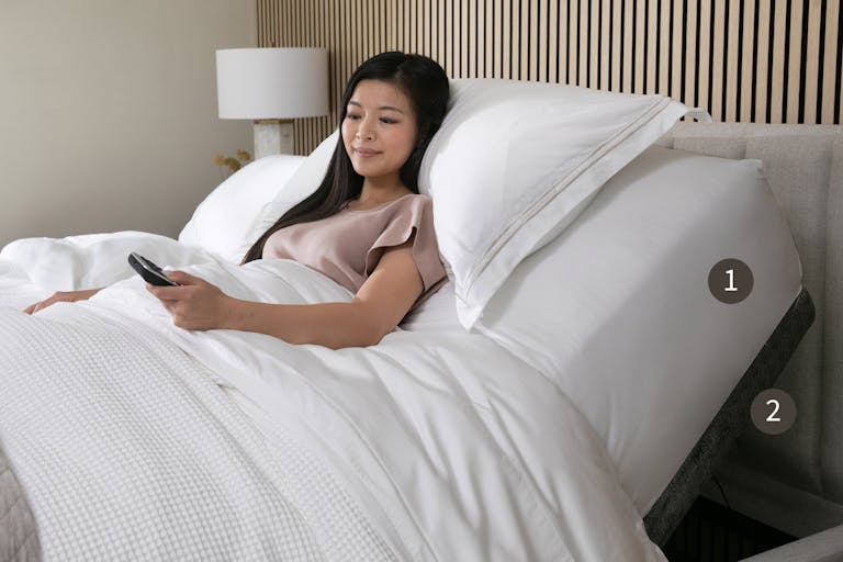 Back Pain Bundle model