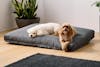 Saatva Dog Bed angle model