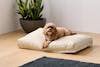 Saatva Dog Bed angle model