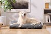 Saatva Dog Bed front model