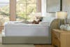 Down Topped Featherbed Mattress Topper model