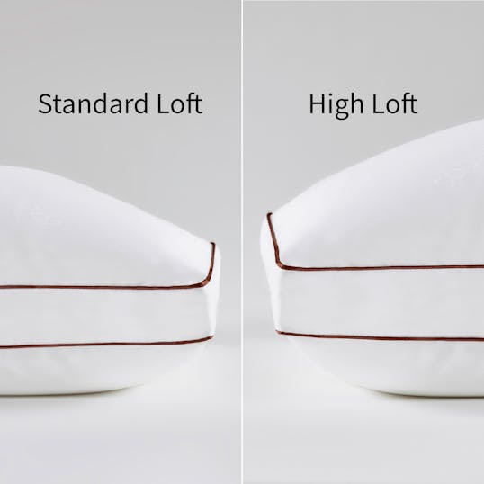 Loft comparison saatva latex pillow